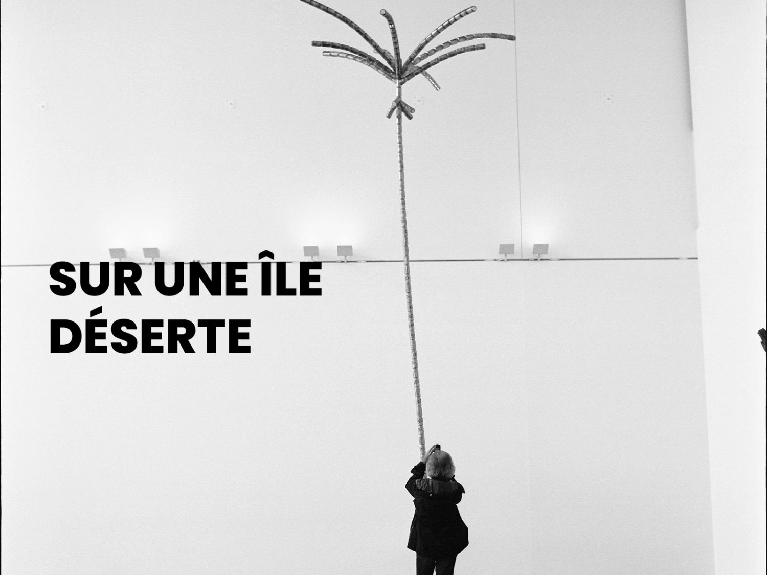SUR UNE ÎLE DÉSERTE 
